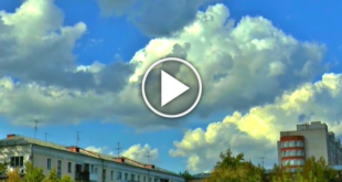 Link Navan Assault Video Twitter